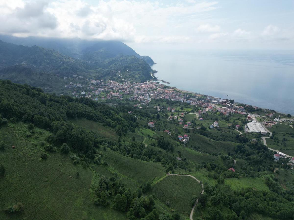 Oksijen Suit Artvin Exterior photo